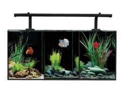 Aqua One Betta Trio Aquarium