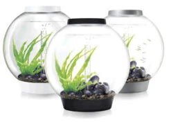 BiOrb CLASSIC 60 White - MCR LED -Hozelocks Aquas Store Biorb Classic 60 40408.1539700563