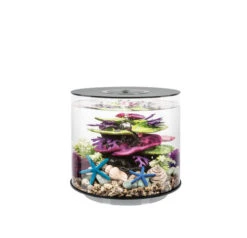 BiOrb Tube 15 Aquarium With Multi-Coloured Remote-Controlled LED Light - Black 7 BiOrb Tube 15 Aquarium With Multi-Coloured Remote-Controlled LED Light - Black -Hozelocks Aquas Store Biorb Tube 84116.1603530196