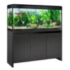 Fluval Roma 240 Black Aquarium & Cabinet -Hozelocks Aquas Store Fluval Roma 240 black 53593.1695288692