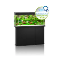 Juwel Rio 240 LED Aquarium And Cabinet Black 11 Juwel Rio 240 LED Aquarium And Cabinet Black -Hozelocks Aquas Store Juwel rio 240 tank and stand black 25253.1572004284