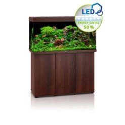 Juwel Rio 350 LED Aquarium And Cabinet Dark Wood 11 Juwel Rio 350 LED Aquarium And Cabinet Dark Wood -Hozelocks Aquas Store Juwel rio 350 tank and stand dark wood 65619.1572009614