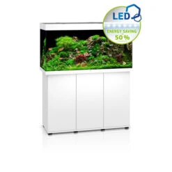 Juwel Rio 350 LED Aquarium And Cabinet White -Hozelocks Aquas Store Juwel rio 350 tank and stand white 23556.1572007479