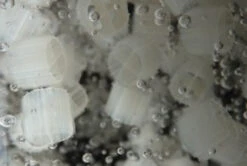 Evolution Aqua K1 Micro Media 25 Litres 9 Evolution Aqua K1 Micro Media 25 Litres -Hozelocks Aquas Store K1 Micro Media 86147.1537197488.1280.1280 85388.1537198772