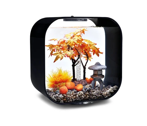 BiOrb Decor Set 30L Autumn 5 BiOrb Decor Set 30L Autumn - Image 3