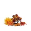 BiOrb Decor Set 15L Autumn -Hozelocks Aquas Store OASE biOrb Decor pack 15L Autumn 11826.1666794638