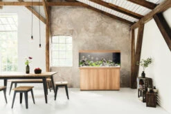 Juwel Rio 450 LED Aquarium And Cabinet Light Wood -Hozelocks Aquas Store Rio 450 Light Wood in situ 11147.1573042314