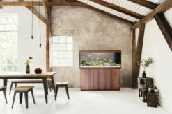 Juwel Rio 450 LED Aquarium And Cabinet Dark Wood 10 Juwel Rio 450 LED Aquarium And Cabinet Dark Wood -Hozelocks Aquas Store Rio 450 dark wood in situ 32451.1573041981