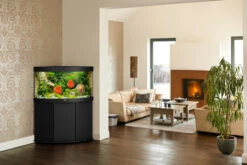 Juwel Trigon 190 LED Aquarium And Cabinet Black -Hozelocks Aquas Store Trigon 190 black in situ 13628.1572104347