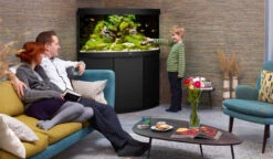 Juwel Trigon 350 LED Aquarium And Cabinet Black 8 Juwel Trigon 350 LED Aquarium And Cabinet Black -Hozelocks Aquas Store Trigon 350 black in situ 69632.1572103540