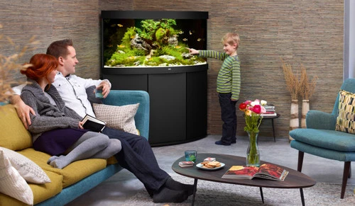 Juwel Trigon 350 LED Aquarium And Cabinet Black 5 Juwel Trigon 350 LED Aquarium And Cabinet Black - Image 3