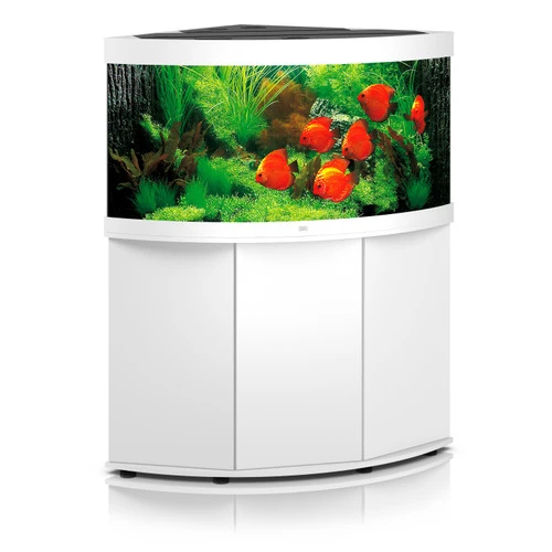 Juwel Trigon 350 LED Aquarium And Cabinet White 3 Juwel Trigon 350 LED Aquarium And Cabinet White
