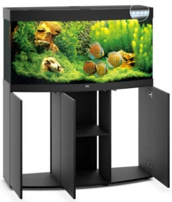 Juwel Vision 260 LED Aquarium And Cabinet Black 9 Juwel Vision 260 LED Aquarium And Cabinet Black -Hozelocks Aquas Store Vision 260 black open 22616.1572013915