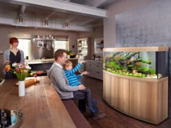 Juwel Vision 450 LED Aquarium And Cabinet Light Wood 7 Juwel Vision 450 LED Aquarium And Cabinet Light Wood -Hozelocks Aquas Store Vision 450 light wood in situ 28533.1572082529