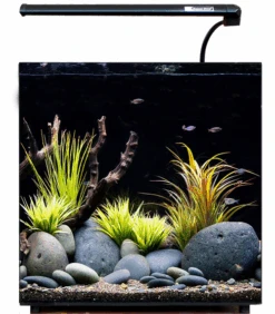 Aqua One Aqua Nano 30 Glass Aquarium