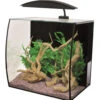 Aqua One Arc 46 Aquarium 2 Aqua One Arc 46 Aquarium -Hozelocks Aquas Store arc 46 aqua one 33260.1665584469