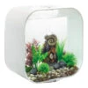BiOrb LIFE 30 White With MCR LED Lighting -Hozelocks Aquas Store biorb life 30 90217.1602410559