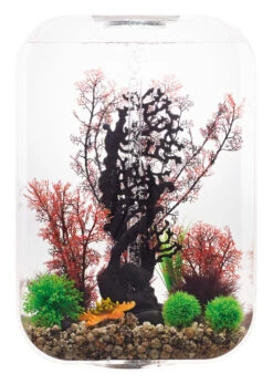 BiOrb LIFE 60 Clear - MCR LED 8 BiOrb LIFE 60 Clear - MCR LED -Hozelocks Aquas Store clear 60 life 92540.1602413772