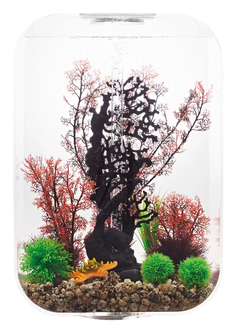 BiOrb LIFE 60 Clear - MCR LED 4 BiOrb LIFE 60 Clear - MCR LED - Image 2