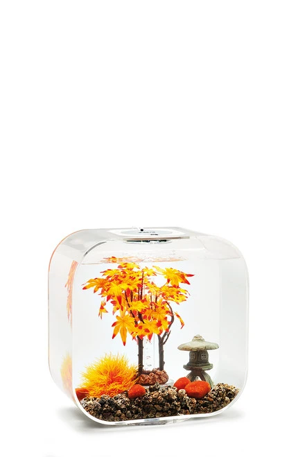 BiOrb Decor Set 30L Autumn 4 BiOrb Decor Set 30L Autumn - Image 2