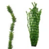 Hugo Kamishi XL Plant Green 95 Cm 1 Hugo Kamishi XL Plant Green 95 Cm -Hozelocks Aquas Store hugo kamishi XL Large Plant Green 4 95cm 22628.1607006512