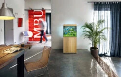 Juwel Lido 120 LED Aquarium And Cabinet Light Wood 10 Juwel Lido 120 LED Aquarium And Cabinet Light Wood -Hozelocks Aquas Store lido 120 light wood in situ 87758.1574426178