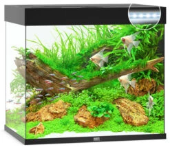 Juwel Lido 200 LED Aquarium And Cabinet Black -Hozelocks Aquas Store lido 200 black LED 33715.1572003952