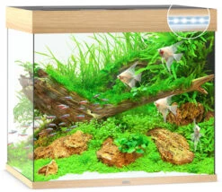Juwel Lido 200 LED Aquarium And Cabinet Light Wood 14 Juwel Lido 200 LED Aquarium And Cabinet Light Wood -Hozelocks Aquas Store lido 200 light wood LED 87094.1572005742