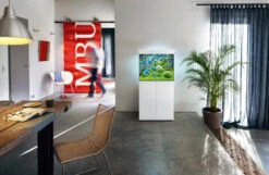 Juwel Lido 200 LED Aquarium And Cabinet White -Hozelocks Aquas Store lido 200 white in situ 88894.1574427034