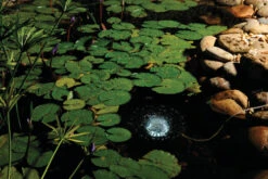 Pontec Oase Pondtec PondoAir Set 1200 Air Pump & Light -Hozelocks Aquas Store pondair set 1200 35550.1636888225