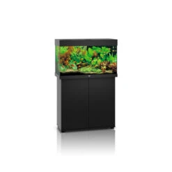 Juwel Rio 125 LED Aquarium And Cabinet Black