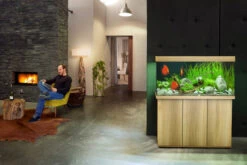 Juwel Rio 350 LED Aquarium And Cabinet Light Wood -Hozelocks Aquas Store rio 350 light wood 3 06007.1573037112