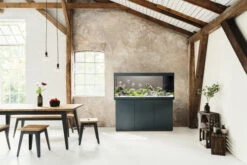 Juwel Rio 450 LED Aquarium And Cabinet Black 9 Juwel Rio 450 LED Aquarium And Cabinet Black -Hozelocks Aquas Store rio 450 black in situ 40413.1573040150