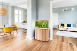 Juwel Vision 180 LED Aquarium And Cabinet Light Wood -Hozelocks Aquas Store vision 180 light wood in situ 36975.1572012275