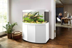 Juwel Vision 260 LED Aquarium And Cabinet White 8 Juwel Vision 260 LED Aquarium And Cabinet White -Hozelocks Aquas Store vision 260 white in situ 95018.1572014978