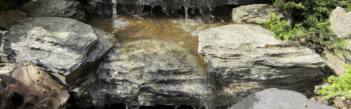 Hozelocks Aquas Store -Hozelocks Aquas Store s l1200 min